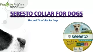 seresto collar for dogs