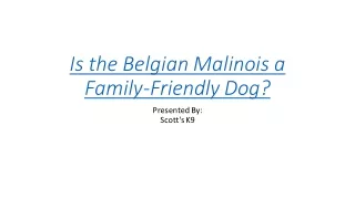 Is the Belgian Malinois a Family-Friendly Dog?