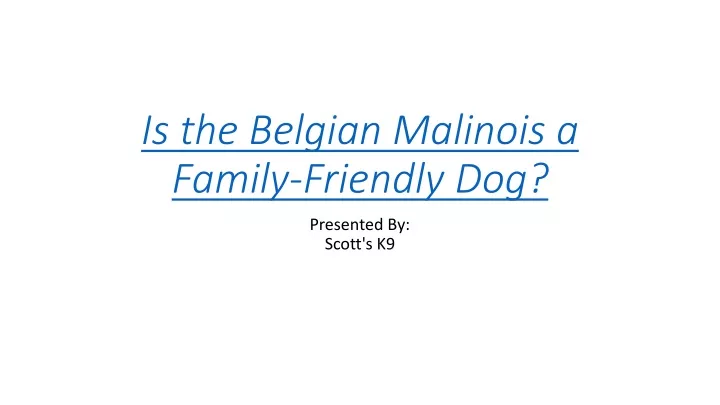 is the belgian malinois a family friendly dog