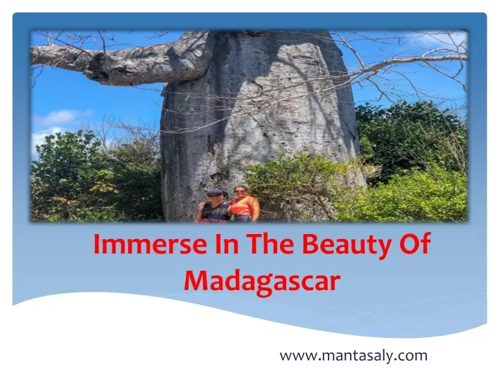 immerse in the beauty of madagascar