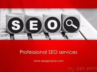 Professional SEO Services - The SEO PPC Pro's
