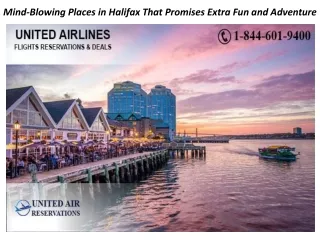 Mind-Blowing Places in Halifax That Promises Extra Fun and Adventure
