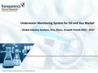2019 transparency market research all rights