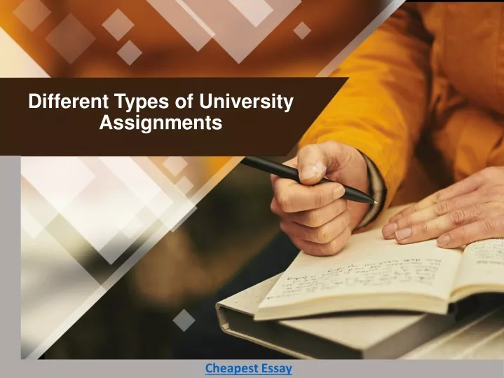 different types of university assignments