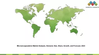 Microencapsulation Market Analysis, Demand, Size, Share, Growth, and Forecast, 2023