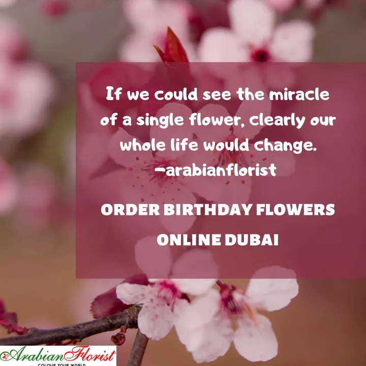 if we could see the miracle of a single flower