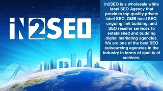 in2seo is a wholesale white label seo agency that