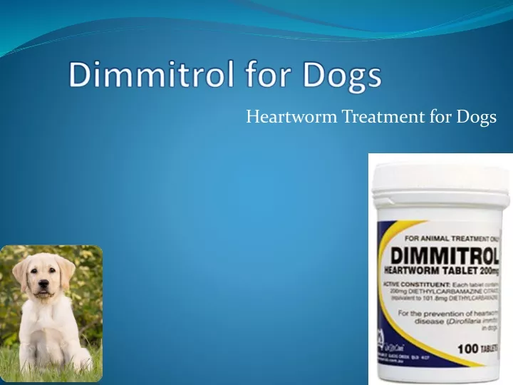 dimmitrol for dogs