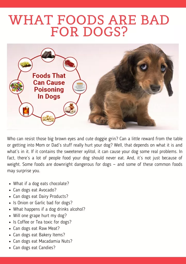 what foods are bad for dogs