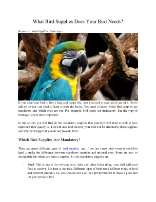 what bird supplies does your bird needs
