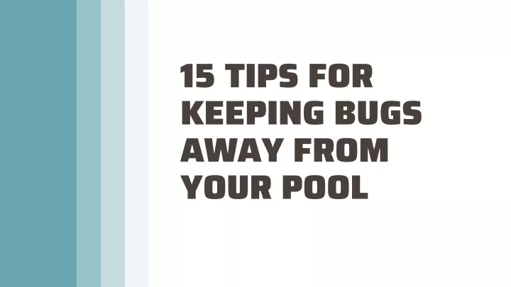 15 tips for keeping bugs away from your pool
