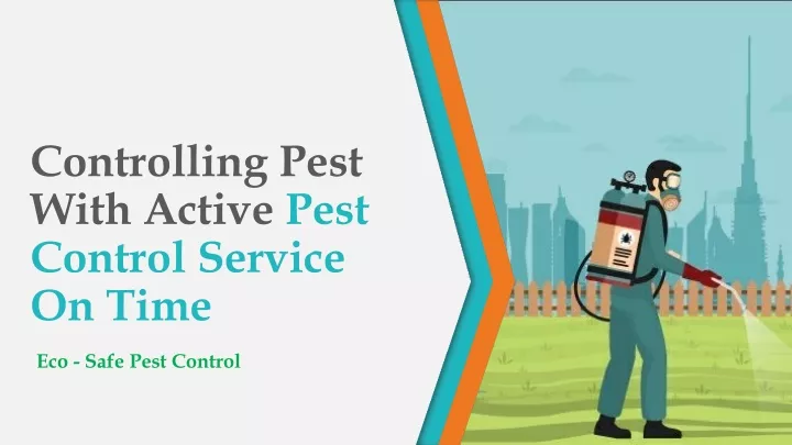 controlling pest with active pest control service