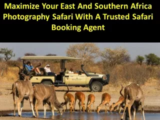 Maximize Your East And Southern Africa Photography Safari With A Trusted Safari Booking Agent