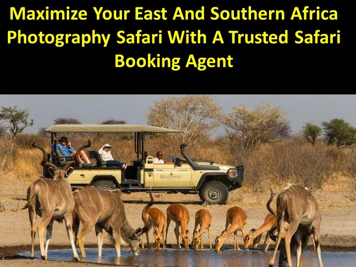 maximize your east and southern africa