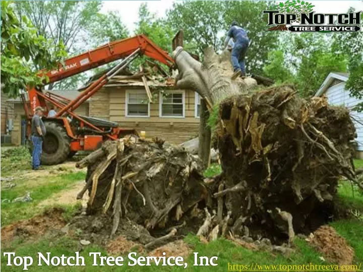 top notch tree service inc
