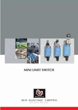 Mini Limit Switches - BCH Electric Limited