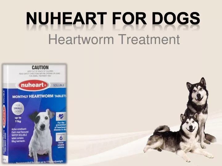 heartworm treatment