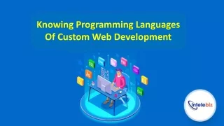 Knowing Programming Languages Of Custom Web Development