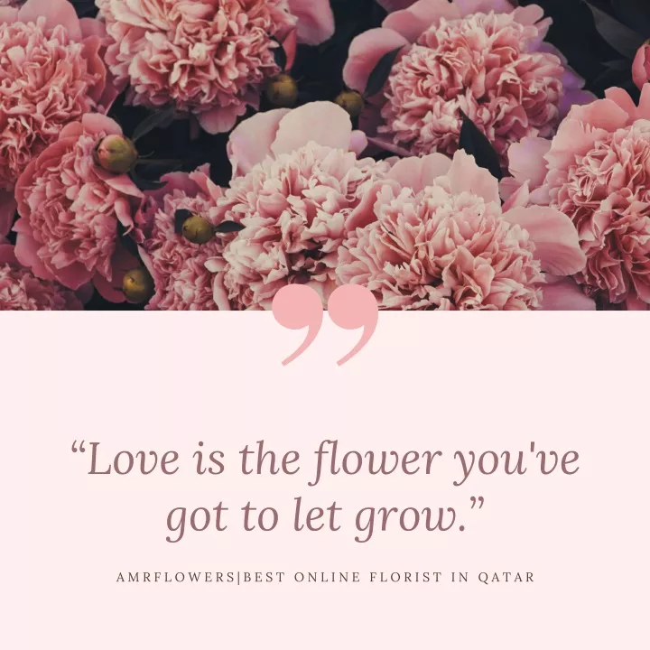love is the flower you ve got to let grow