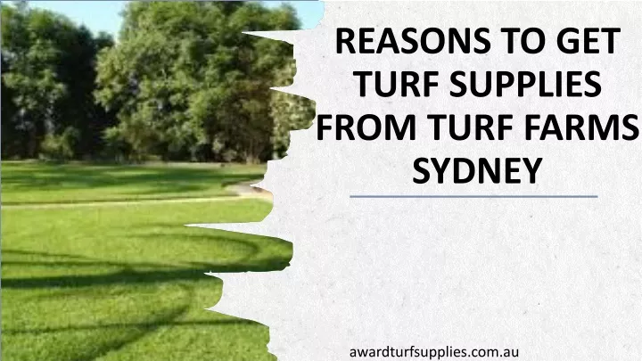 reasons to get turf supplies from turf farms sydney