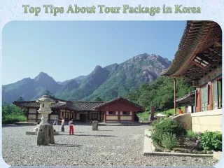 Top Tips About Tour Package in Korea