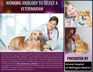 Working Ideology to Select a Veterinarian