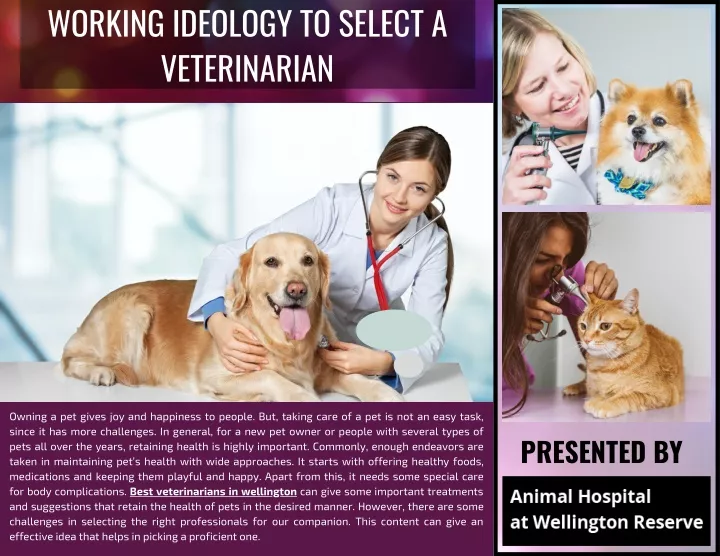 working ideology to select a veterinarian