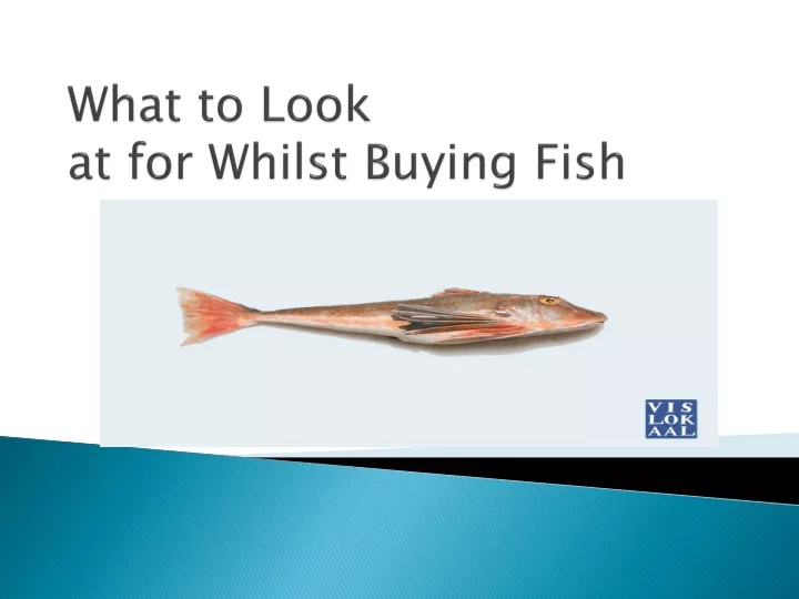 what to look at for whilst buying fish