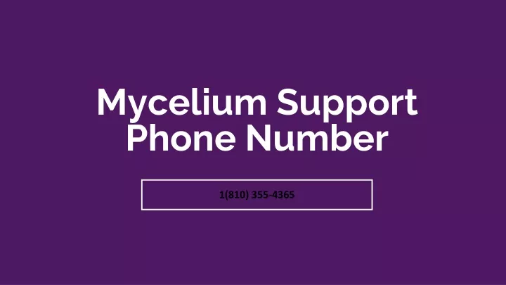 mycelium support phone number