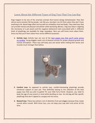 learn about the different types of dog toys that