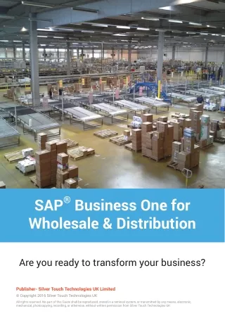 sap business one for wholesale distribution