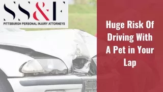 huge risk of driving with a pet in your lap