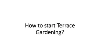 how to start terrace gardening