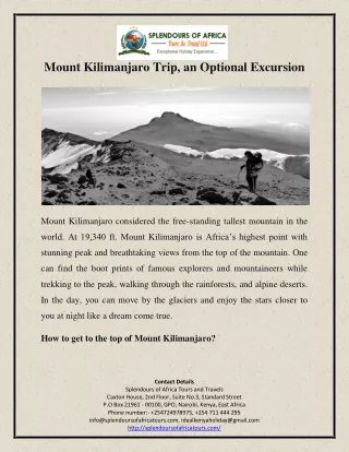 Mount Kilimanjaro Trip, an Optional Excursion