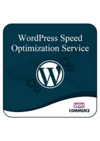 WordPress Speed Optimization | WordPress Website Speed Optimization