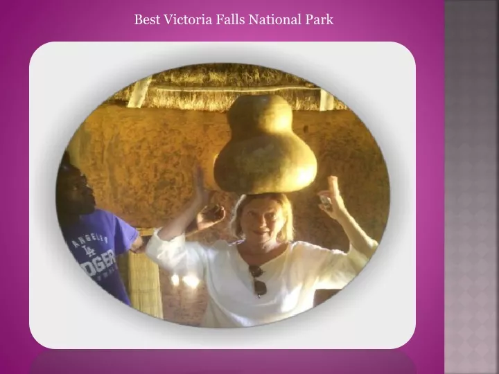 best victoria falls national park