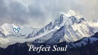 Perfect Soul the world's largest dating platforms