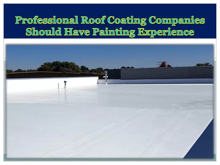 professional roof coating companies should have painting experience