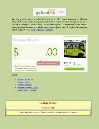 Save Elephant Foundation with gofundme.com