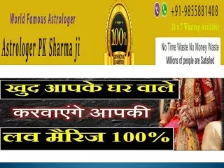 Inter cast love marriage specialist astrologer in india