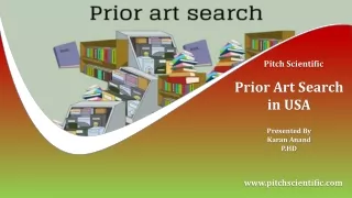 Prior Art Search in USA | Prior Art Search Services