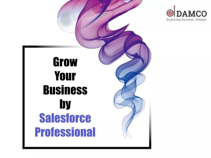 grow your business by salesforce professional
