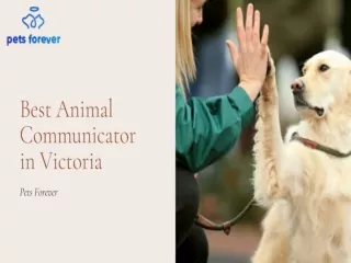Best Animal Communicator in Victoria