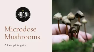 Microdose Mushrooms -Chronic Vapes Online