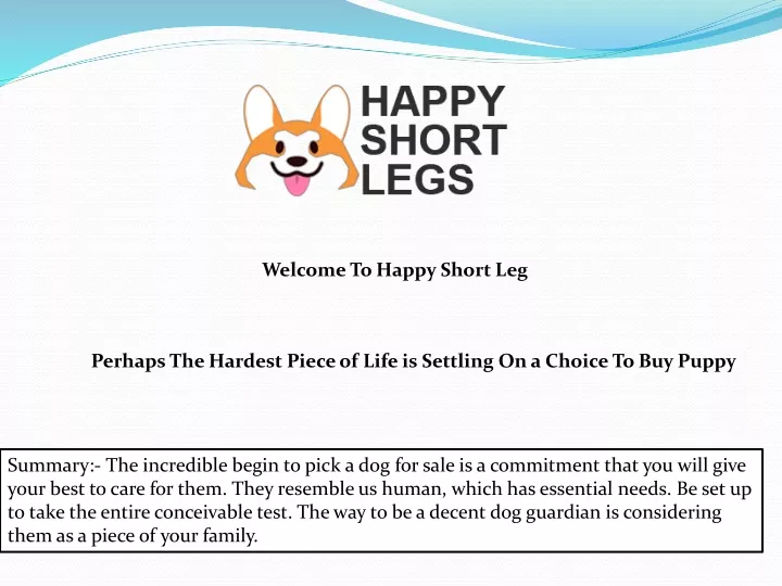 welcome to happy short leg