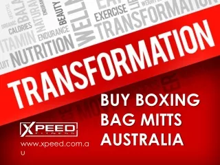 Buy Boxing Bag Mitts Australia - www.xpeed.com.au