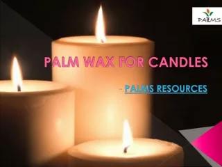 Palm Wax for Candles Making