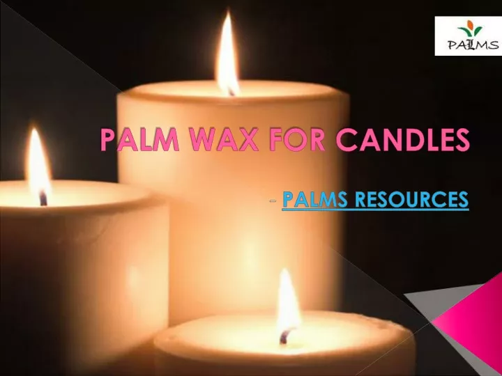 palm wax for candles