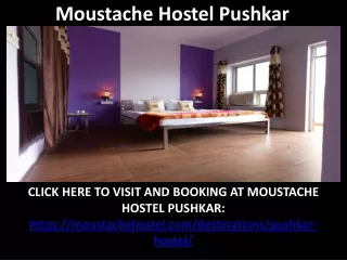 Best Backpacker and Youth Hostel in Pushkar | Budget Accommodation Pushkar - Moustache Hostel Pushkar