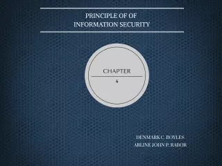 PRINCIPLE INFORMATION SECURITY